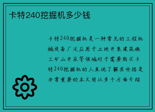 卡特240挖掘机多少钱